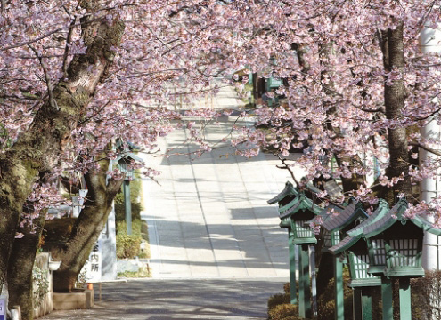 密蔵院（埼玉県川口市）