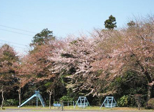 筑波茎崎霊園