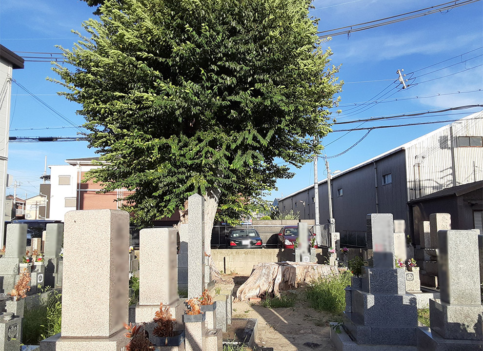 堀溝・新家墓地