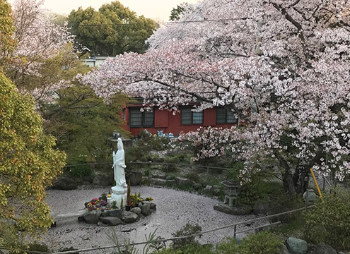 徳林寺　永代供養墓＆樹木葬