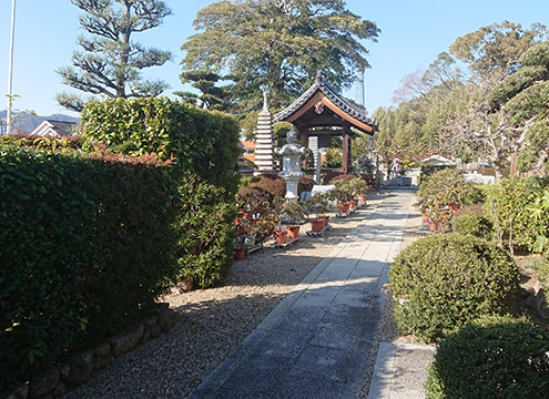 善福寺 永代供養墓 無量寿の塔