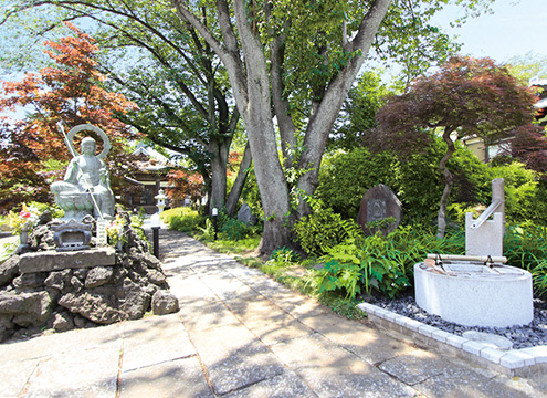 法雲寺 新百合ヶ丘墓苑 樹木葬