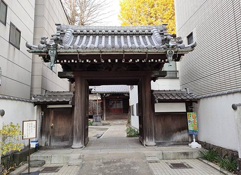 正德寺 欅の杜 樹木葬 樹心