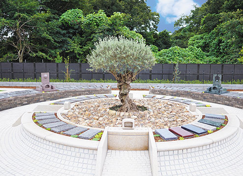 オリーブGarden