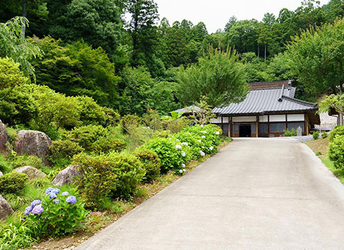 小さなお墓の樹木葬　安養寺