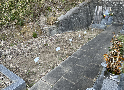 観福寺