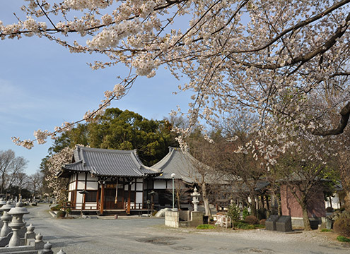 西藏院（西蔵院）墓苑