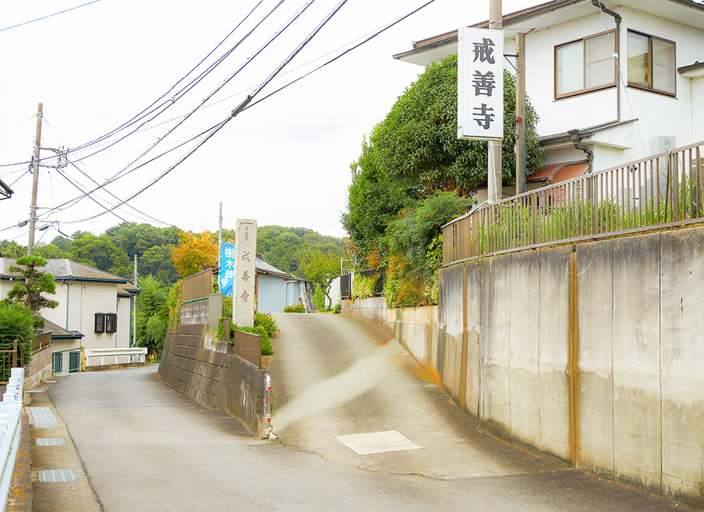 厚木 戒善寺 樹木葬 フラワージュ