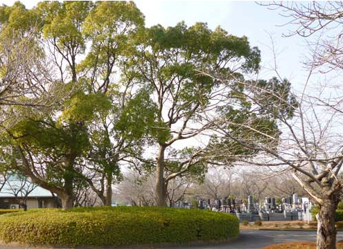 市原市営 能満墓園