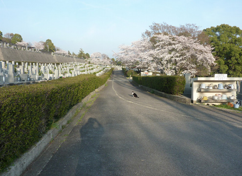 東温市営　志津川墓園