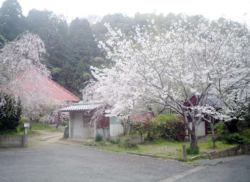 同夢山願成就寺