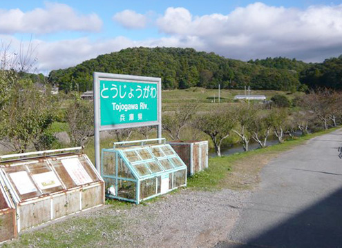 中野霊園(兵庫県)