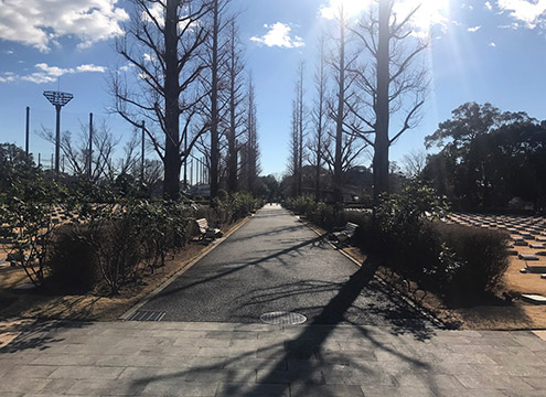 横浜市営　メモリアルグリーン