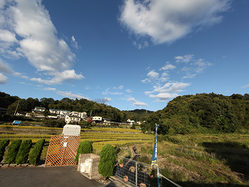 府中山田墓苑 納骨堂