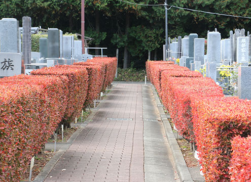 所沢・狭山ヶ丘霊園「フラワージュ」