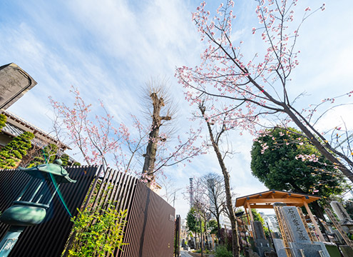 恵光メモリアル新宿浄苑　屋外納骨堂（蓮香）