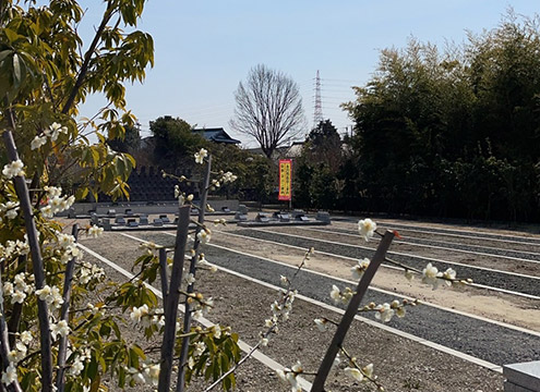 梅寿苑　永代供養墓