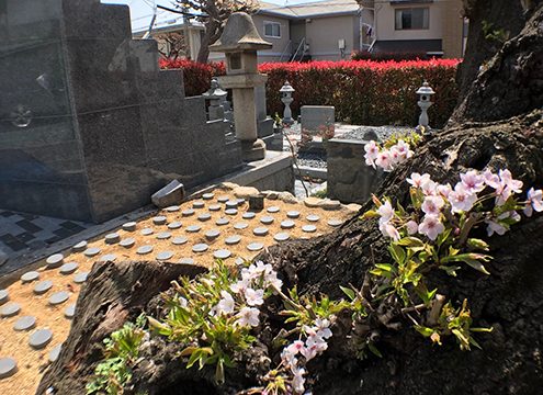 郡家墓地　永代供養墓