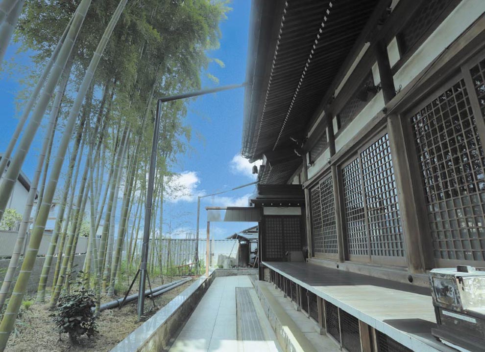 成城しだれ桜墓苑