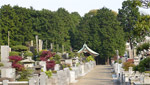 東叡山　寛永寺